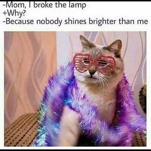 Meet your Posher, Aaron